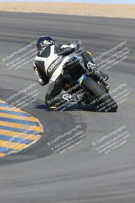 media/Feb-04-2023-SoCal Trackdays (Sat) [[8a776bf2c3]]/Turn 10 Backside (1010am)/